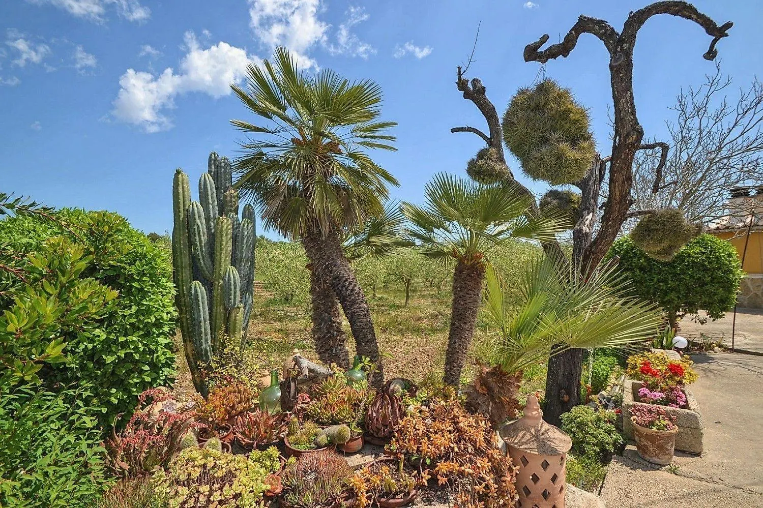 Flirty Cottage Mit Pool In Buger Bis Zu 6 Personen Spain